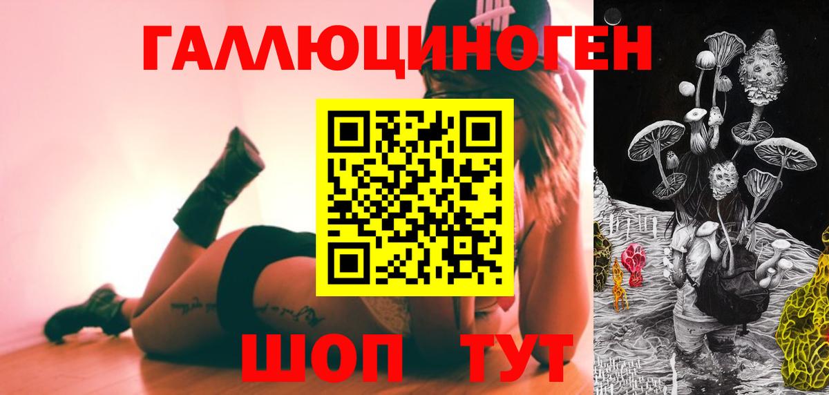 Псилоцибиновые грибы Psilocybine cubensis Бийск