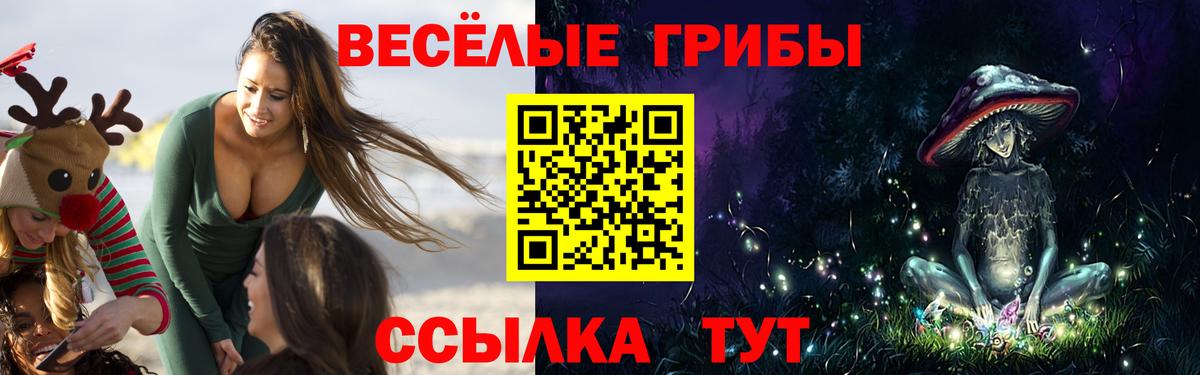 Псилоцибиновые грибы прущие грибы  Галлюциногенные грибы Cubensis  хочу   Бийск  Вход с VPN 