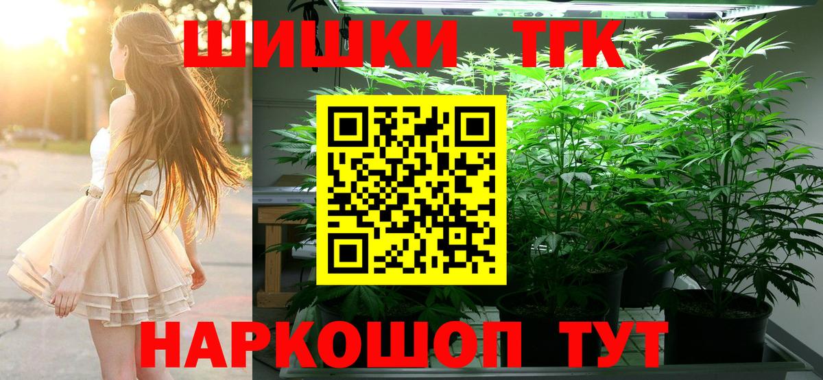 Бошки Шишки планчик Бийск